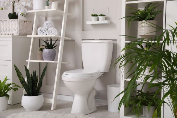 Cost of Toilet Repair in Bakersfield