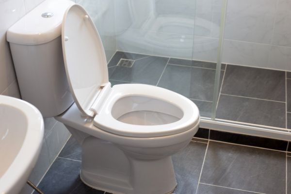 Cost of Toilet Replacement in Bakersfield