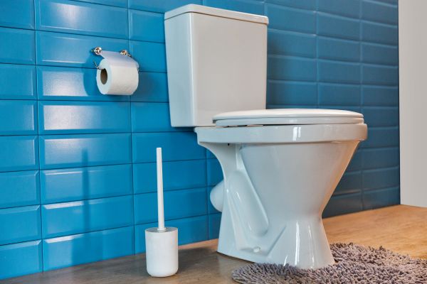 Cost of Toilet Tank Repair in Bakersfield