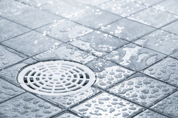Cost of Shower Drain Repair in Bakersfield