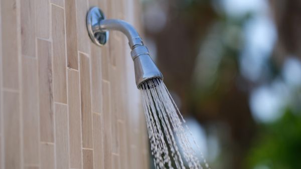 Cost of Showerhead Repair in Bakersfield