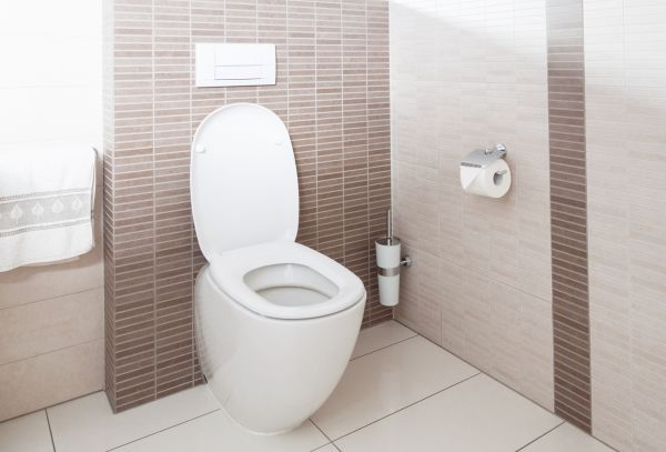 Cost of Toilet Plumbing Installation in Bakersfield